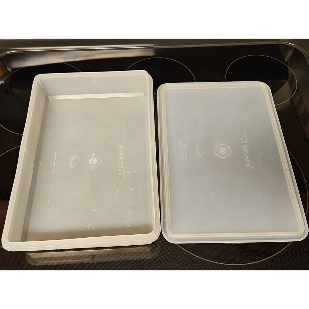 Vintage Tupperware Handolier #290 Sheer Rectangle Keeper With #291 Lid READ